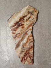 💥💎 Korallen - ACHAT