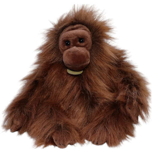 Aurora affe orang utan - affe, orang-utan