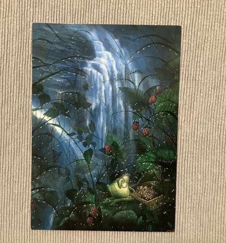 Postkarte frosch mit - ,