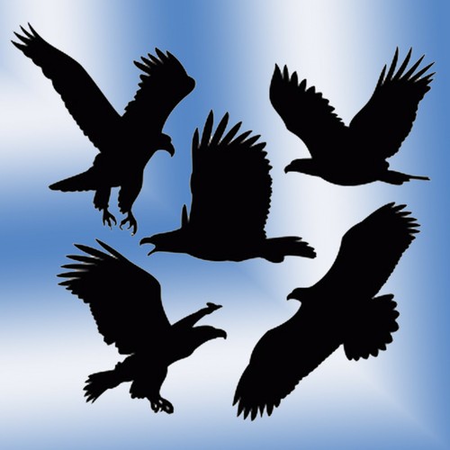 Aufkleber vögel adler - aufkleber,