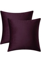 Set of 2, Cozy Solid Velvet