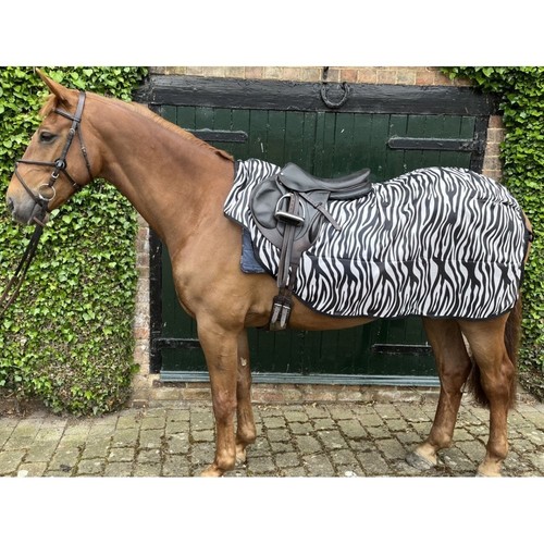 Ruggles ride mesh fly - ride,