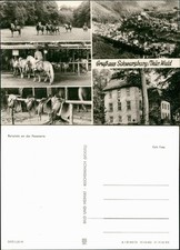 Ansichtskarte Schwarzburg Reitplatz an der Fasanerie 4 Bild 1976
