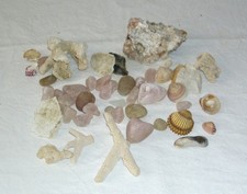 Aquarium Dekoration * Schiefer Steine Rosenquarz Lochstein Riff Muscheln u.a. 3