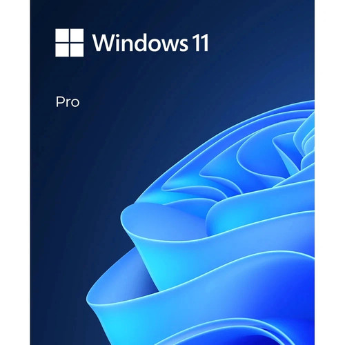 Microsoft windows pro - 10/11,