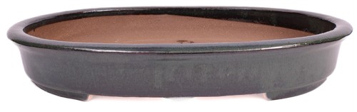 Bonsai schale oval x 38 - bonsai,