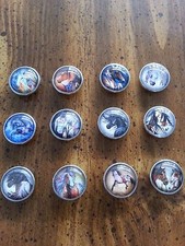 War Pony Snap Buttons-You