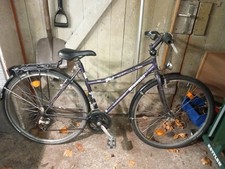 Damen Fahrrad Bianchi Spillo