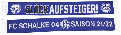 Schalke saison 21 22 - saison, 21/22