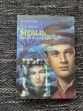 Merlin und der Zauberspiegel von T. A. Barron