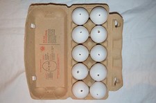 10  Echte ausgeblasene Hühnereier weiße Eier Ostern Bastelei Sonderpreis Top !!!