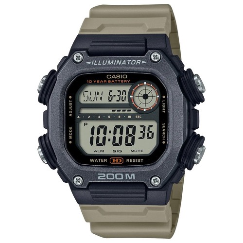 CASIO