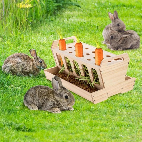 Kaninchen heu futterständer - kaninchen,
