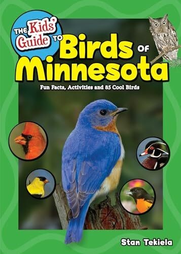 Kids guide birds of - guide, to