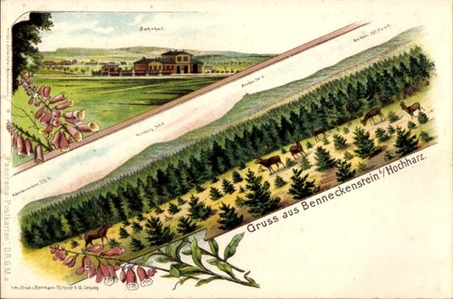 Litho benneckenstein oberharz - benneckenstein,