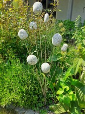 Gartenstecker Edelstahlstele Gartendeco Skulptur Steinstrauch 1,10 m