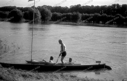 Negativ-1930-Alt-Rhein-Natur-k