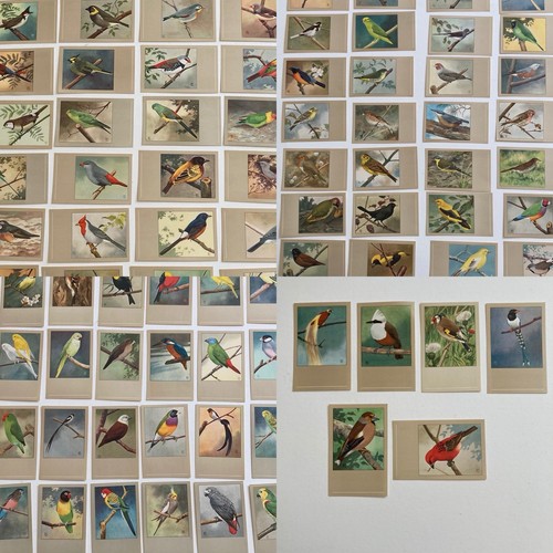 Vintage postkarten lot - vintage,