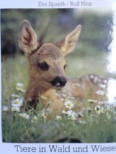 Tiere in Wald und Wiese Spaeth, Eva Hinz und Rolf: