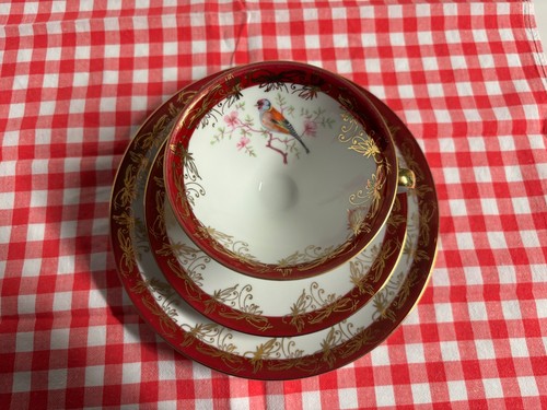 Sammeltasse teilig vogel - 3, teilig,