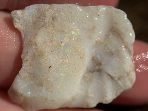 Coober pedy fossile opal - fossile,