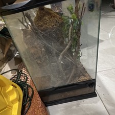 Glass Reptile Terrarium with