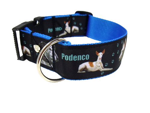 Hundehalsband podenco sm - hundehalsband, "podenco"