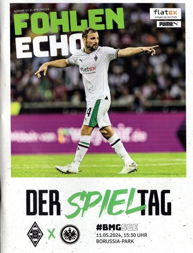 Fohlen echo borussia - fohlen, echo-borussia