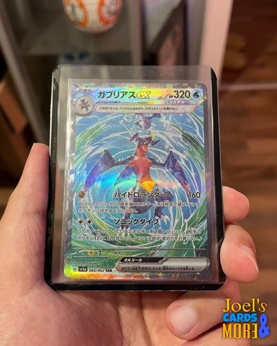 Pokémon knakrack garchomp - pokémon, ex