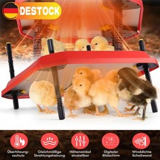 Heizplatte für Kükenaufzucht