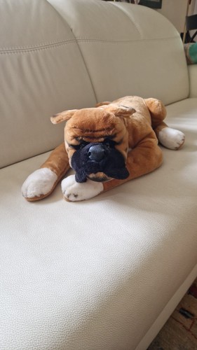 Steiff plüschtier boxer - steiff,