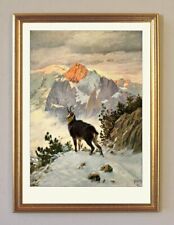 Gemswild Gämse Gams Berge Jagdbild von Singer Wilderer A3 89 Gerahmt