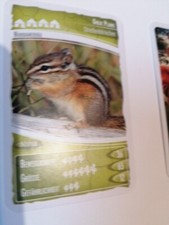 Sammelkarten Netto Ozeanien 4  Nr.63 Great Plains Streifenhoernchen