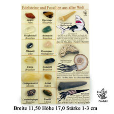 Sammlung mit Mineralien und