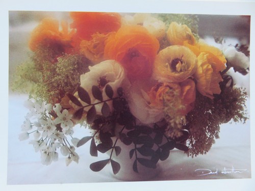 Postkarte david hamilton - postkarte,