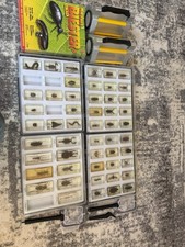 Mini Biester Insektensammlung