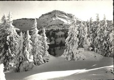 Speer Walensee Tanzboden