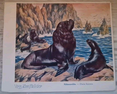 Voss margarine kunstbilder - voss,