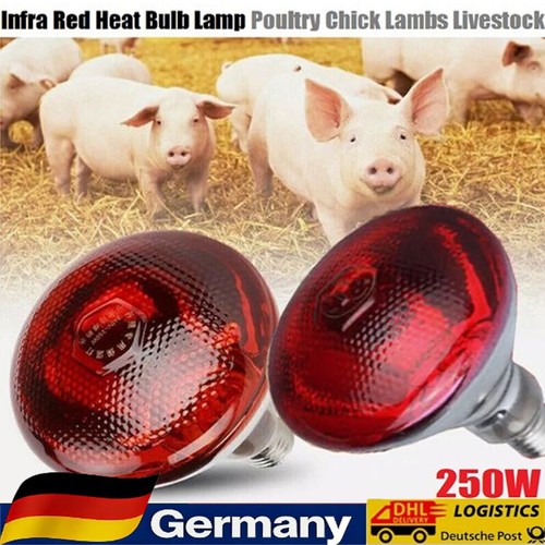 Infrarotlampe wärmelampe - 2x,
