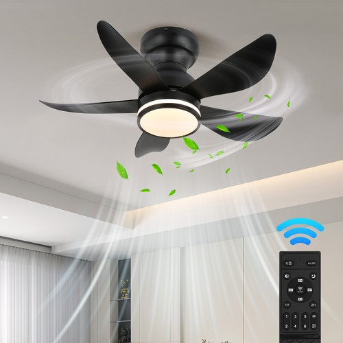 Decke fan licht - fan,