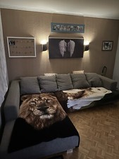 sofa mit schlaffunktion und bettkasten 