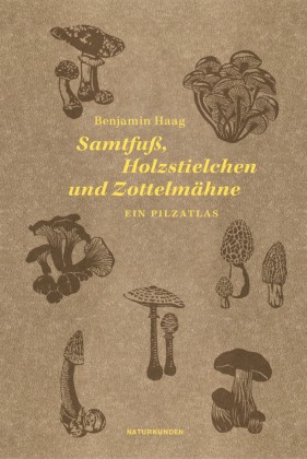 Samtfuß holzstielchen und - samtfuß,,