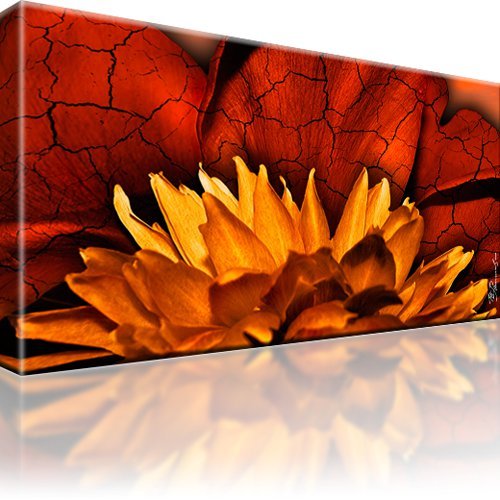 Blume abstrakt bild bilder - blume,