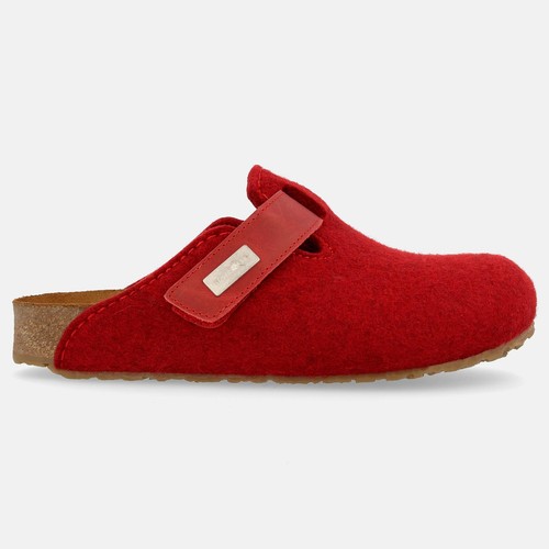 Haflinger bio kurt filzclog - haflinger,