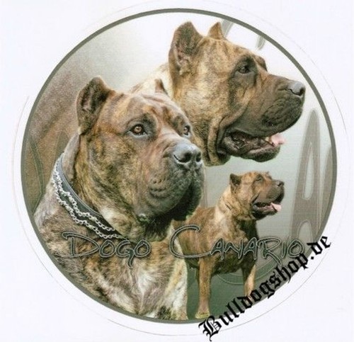 Design aufkleber dogo - design,