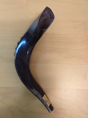 Schofar meister - (widderhorn),
