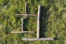 T Sitzstangen für Vögel aus