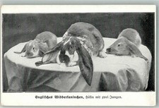 13576223 - Aus der Zeitschrift