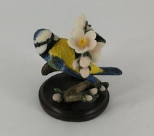 Blaumeise - Vogel Welt