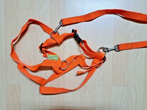 Pferdeleine zügelmatz orange - pferdeleine,
